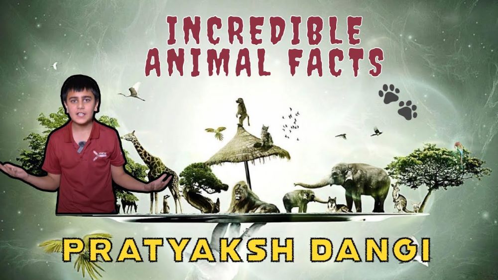 Incredible Animal Facts